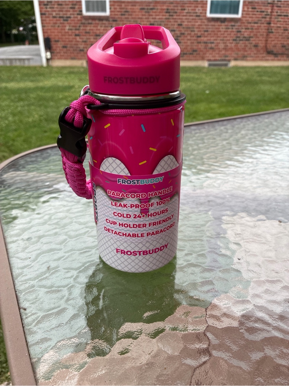 FrostBuddy Kids Pink ice cream Insulated Bottle with Detachable Paracord Handle